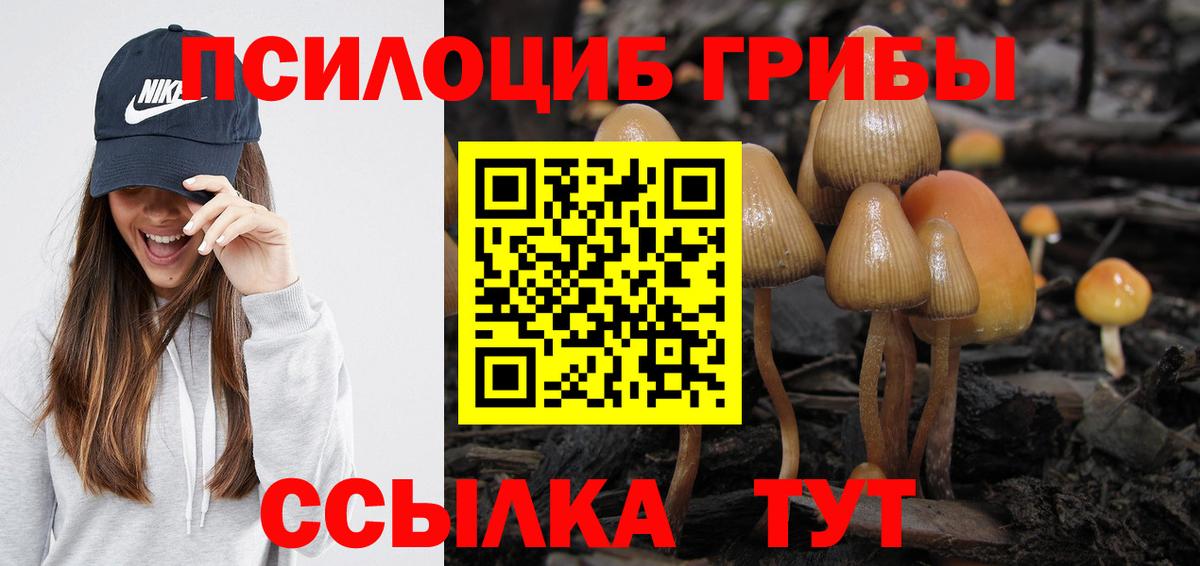 Петрозаводск  Псилоцибиновые грибы Magic Shrooms  Галлюциногенные грибы мухоморы  Вход с VPN 