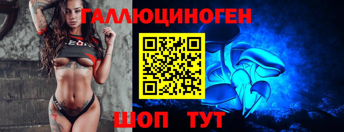 Псилоцибиновые грибы Psilocybine cubensis Петрозаводск
